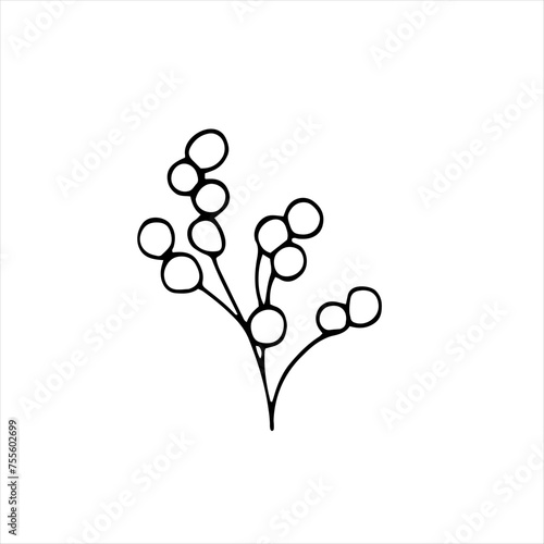 Herbal floral doodle-style vector illustration. Hand-drawn botanical illustration. Isolated objects on white