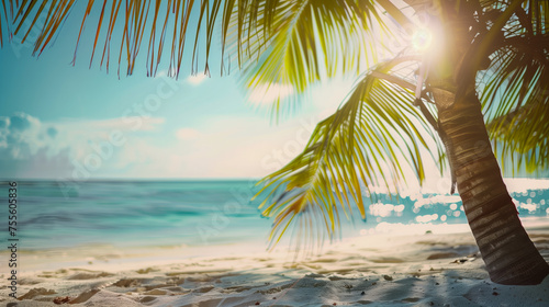Palm tree on a beautiful white sand beach  travel memories © Petruta