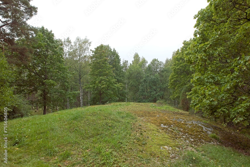 Landscape view of forest in cloudy autumn weather, Paloniemi, Lohja, Finland. Landscape view of forest in cloudy autumn weather, Paloniemi, Lohja, Finland.