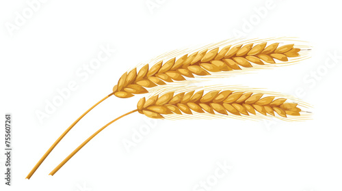 Isolated wheat ear design flat vector isolated on white