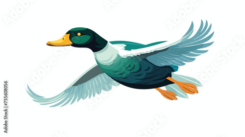 Mallard Duck Flying Vector Illustration flat vector