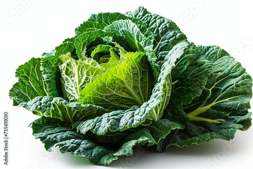 Fresh cabbage vegetables and harvesting garden field isolated on white background