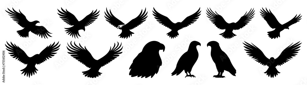 Fototapeta premium Eagle silhouette set vector design big pack of illustration and icon