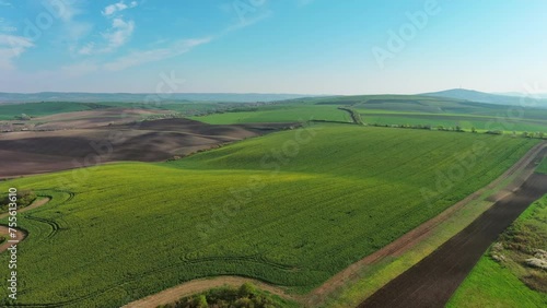 Aerial view of amazing green wavy hills with agricultural fields in spring. South Moravia region, Czech Republic, Europe, 4k photo