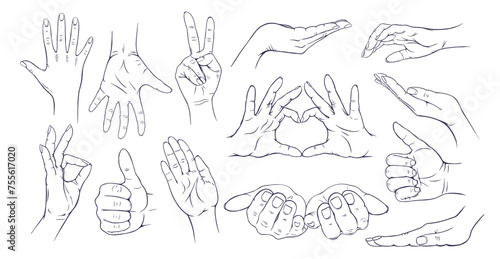 Set collection of human hand gestures. Hand drawn with ink. Isolated on white background vector.