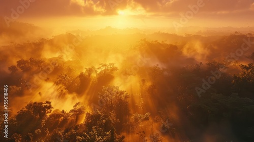 Golden Sunrise Over Misty Tropical Rainforest.