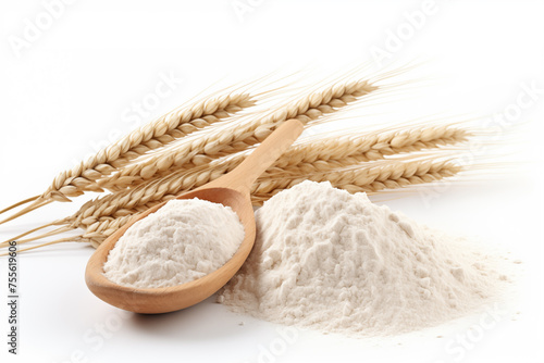 white flour in wooden scoop and bundle of wheat spikes isolated on white.