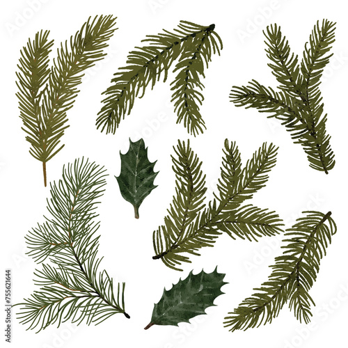 A set of coniferous branches