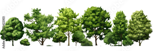Illustration of the cartoons different trees on the transparent background