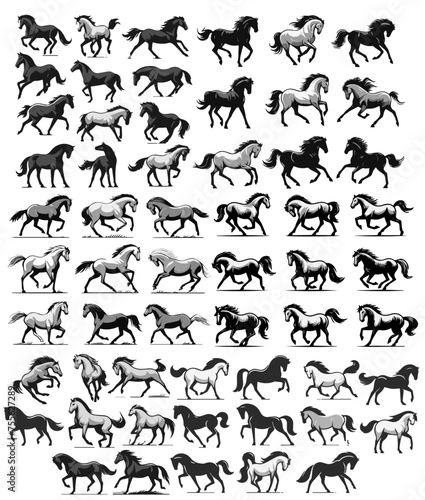 Vector Horse Collection: Horses in Various Poses