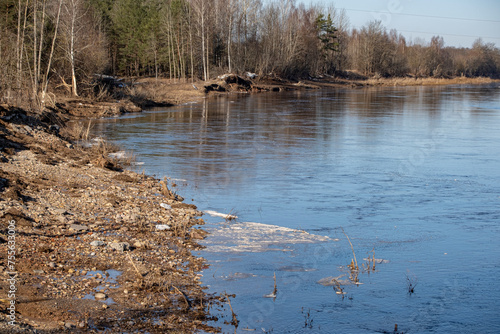 Saka river near Jekabpils town in Latvia. River in spring after floods photo