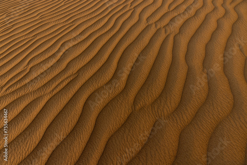Sand dunes are natural formations typically found in deserts, coastal regions, and other areas with significant amounts of loose sand. These dunes are created and shaped by the wind.