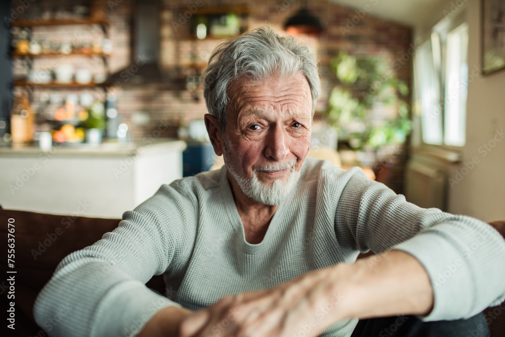 Smiling elderly man sitting at home with a cozy interior Smiling elderly man sitting at home with a cozy interior
