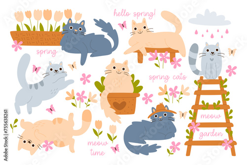 Hello spring design elements with funny cats cute characters and garden plants vector illustration