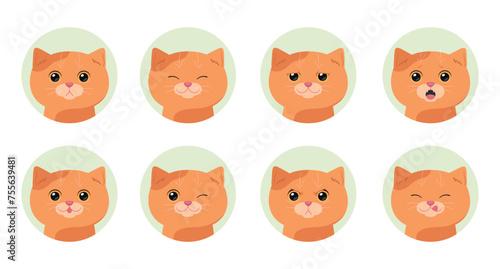 Set of cartoon ginger tabby cats with different emotions. Emotional cat. Vector illustration