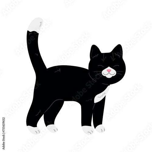 Cute hand drawn black and white cat. Cartoon tuxedo cat. Vector illustration