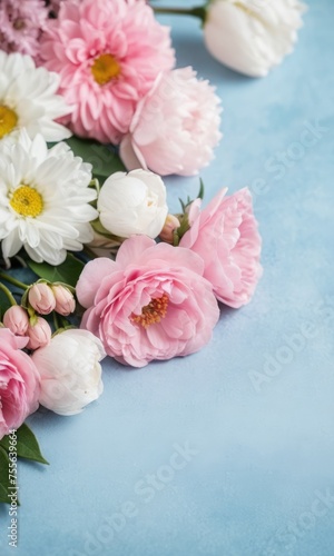 Close up Romantic spring flowers pink and white color with space for text. at blue background.Valentine s Day  Birthday  Happy Women s Day  Mother s Day concept.