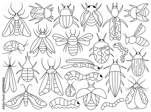Doodle set with butterflies  beetles and bugs  warms  caterpillars insects outline coloring design