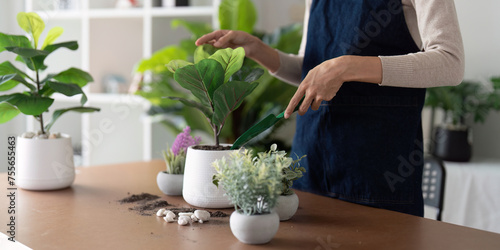 The concept of eco friendly housing, plant care and gardening. Relax home gardening. Gardener woman asian hand planting flower in pot. woman takes care of plant