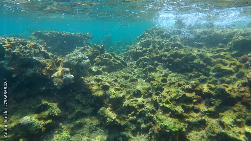Underwater seascape with shallow water rock reef under waves, a small fish swims over stones, Slow motion, Mediterranean Sea, Rhodes island, Greece Underwater seascape with shallow water rock reef under waves, a small fish swims over stones, Slow motion, Mediterranean Sea, Rhodes island, Greece