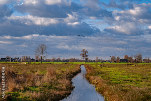 Dutch countryside landscape. Typical polder and water land. Small canal or ditch on the field in Molenlanden, Netherlands