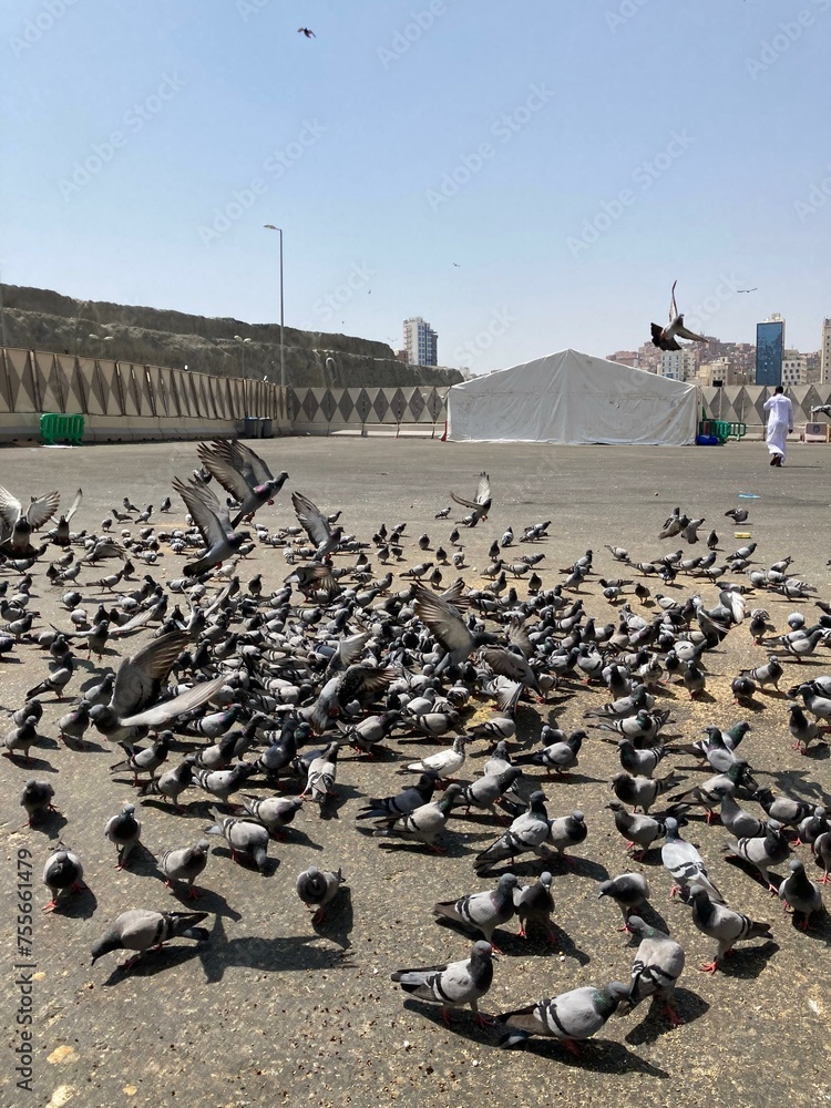 Fototapeta premium view of the city