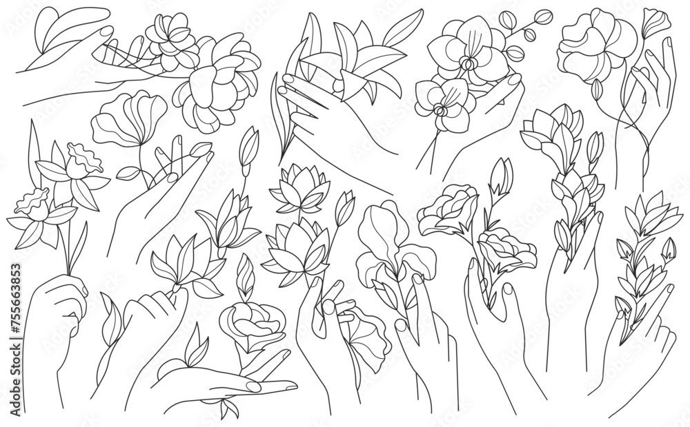 Human hands holding blooming flowers minimalist outline art drawing style set vector illustration Human hands holding blooming flowers minimalist outline art drawing style set vector illustration