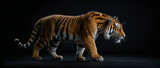 Large Tiger on a Black Background