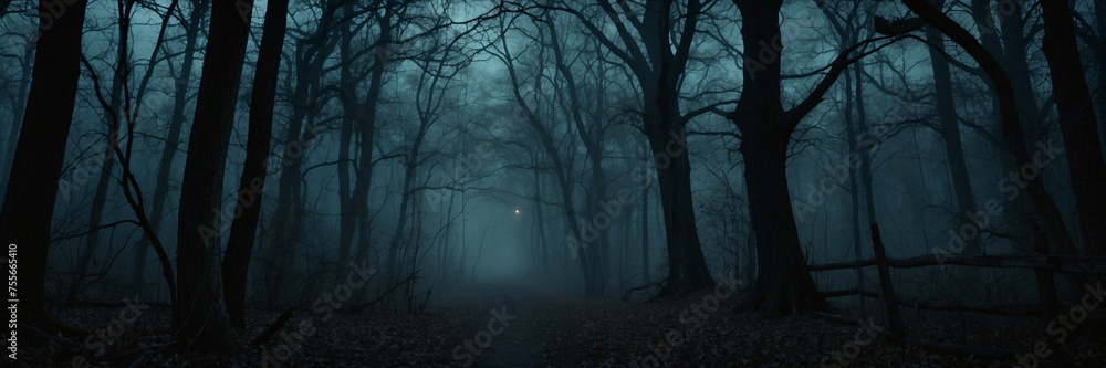 Obraz premium Dense Forest at Night