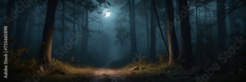 Moonlit Path Through Dark Forest