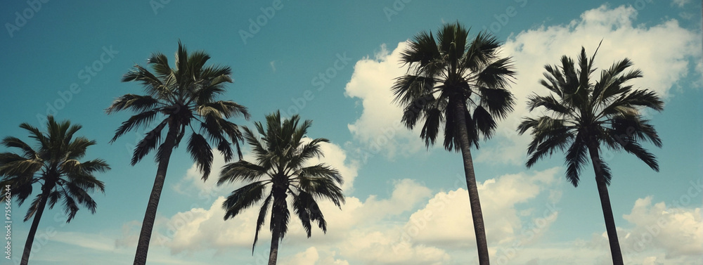 Row of Palm Trees Against Blue Sky