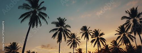 Palm Trees Silhouetted on Beach at Sunset