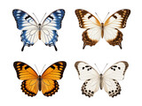 butterfly collection set isolated on transparent background, transparency image, removed background