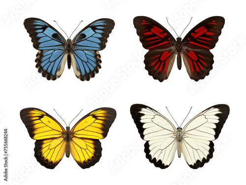 butterfly collection set isolated on transparent background  transparency image  removed background
