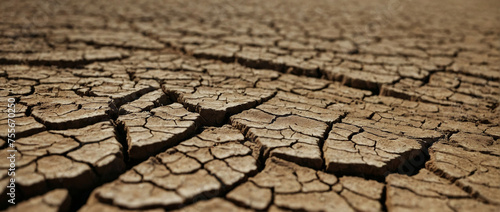 Close-Up View of Cracked Earth During Severe Drought Conditions