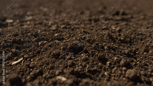 Close-Up View of Fertile Soil Surface During Early Morning Hours