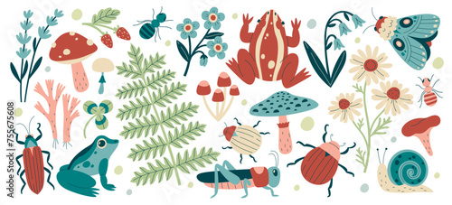 Wild nature of forest collection with plants and leaves, frogs and insects set vector illustration