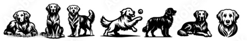 Golden Retriever Collection Vector - A variety of oses and Scenes in Black and White. 
A set of six silhouettes of Golden Retrievers