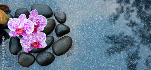 Black spa stone and pink orchid flowers on the gray table background.