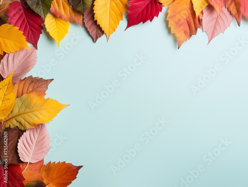 Cozy Autumn. Weather backdrop. Autumn leaves. Frame of colorful leaves on colour background. Back to school background.