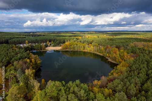 Aerial shot of beautiful lake surrounded by forest in a calm autumn day. Germany.