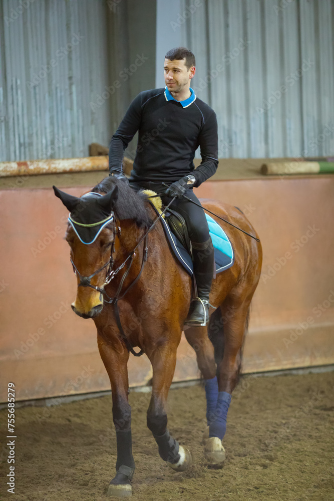 Handsome man in black rides brown horse in harness in hippodrome Handsome man in black rides brown horse in harness in hippodrome