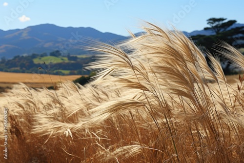 wind mild in the grass field landscape professional photography photo