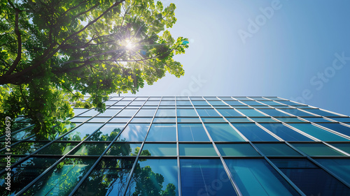 A modern skyscraper with sleek glass panels, reflecting a lush green tree. Sustainable design for a greener future.