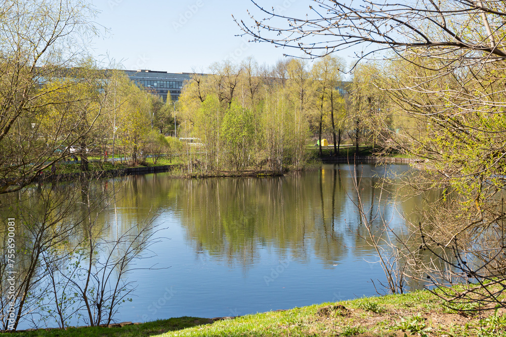 Fototapeta premium Lake in a city park in the spring. Spring city landscape. Reflection of trees in the water of a pond