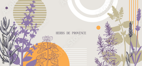 Collage-style Provence herbs background. Herbal plants hand-drawn vector illustrations. Artistic frame with sage, peppermint, rosemary, lavender sketches. NOT AI generated