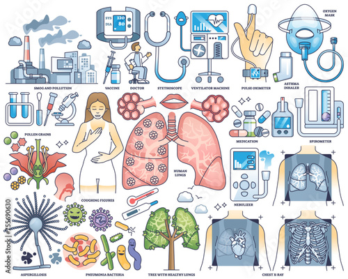 Pulmonology as medical lung health diagnosis and treatment outline collection set, transparent background. Labeled elements with respiratory breathing organ examination.