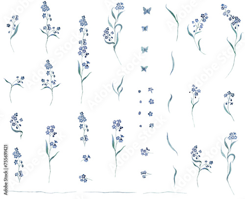 WALD Vergissmeinnicht - forget Me Not Aquarell