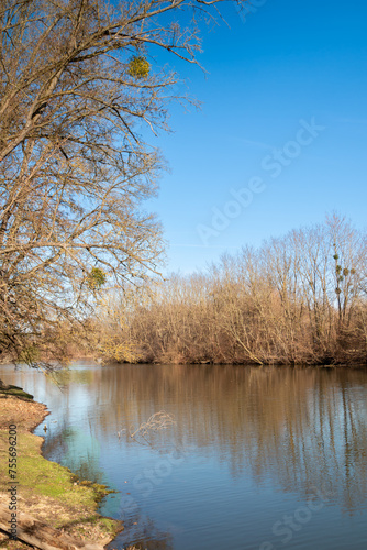 River Dyje with a forest on the banks, Januv hrad, Czechia photo