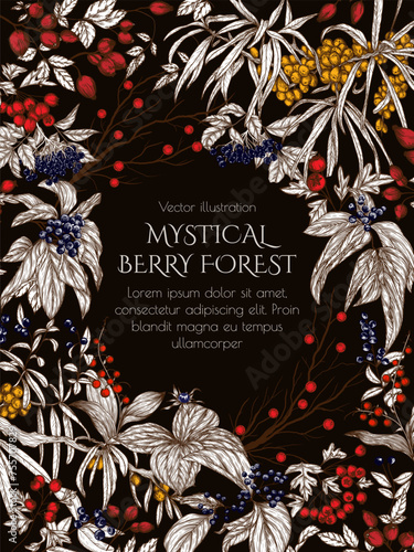 Vector frame of wild berries in engraving style. Cornus sanguinea, sea buckthorn, rose hips, ligustrum, hawthorn, elderberry, paris quadrifolia, lily of the valley berries